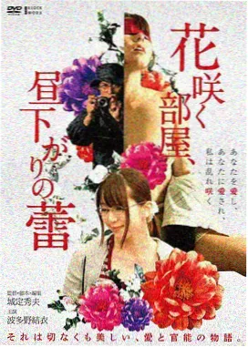 美剧天堂职场喜剧硅谷回声剧照